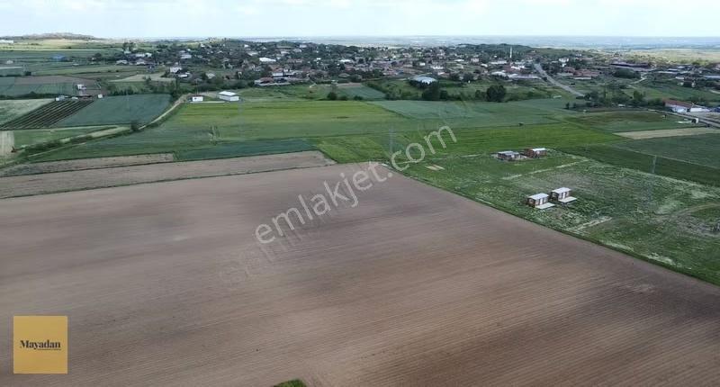 Mayadan Kayalı'da 7.323m2 Satılık Çiftlik - Görsel 7