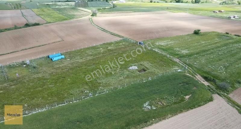 Mayadan Kayalı'da 7.323m2 Satılık Çiftlik - Görsel 3