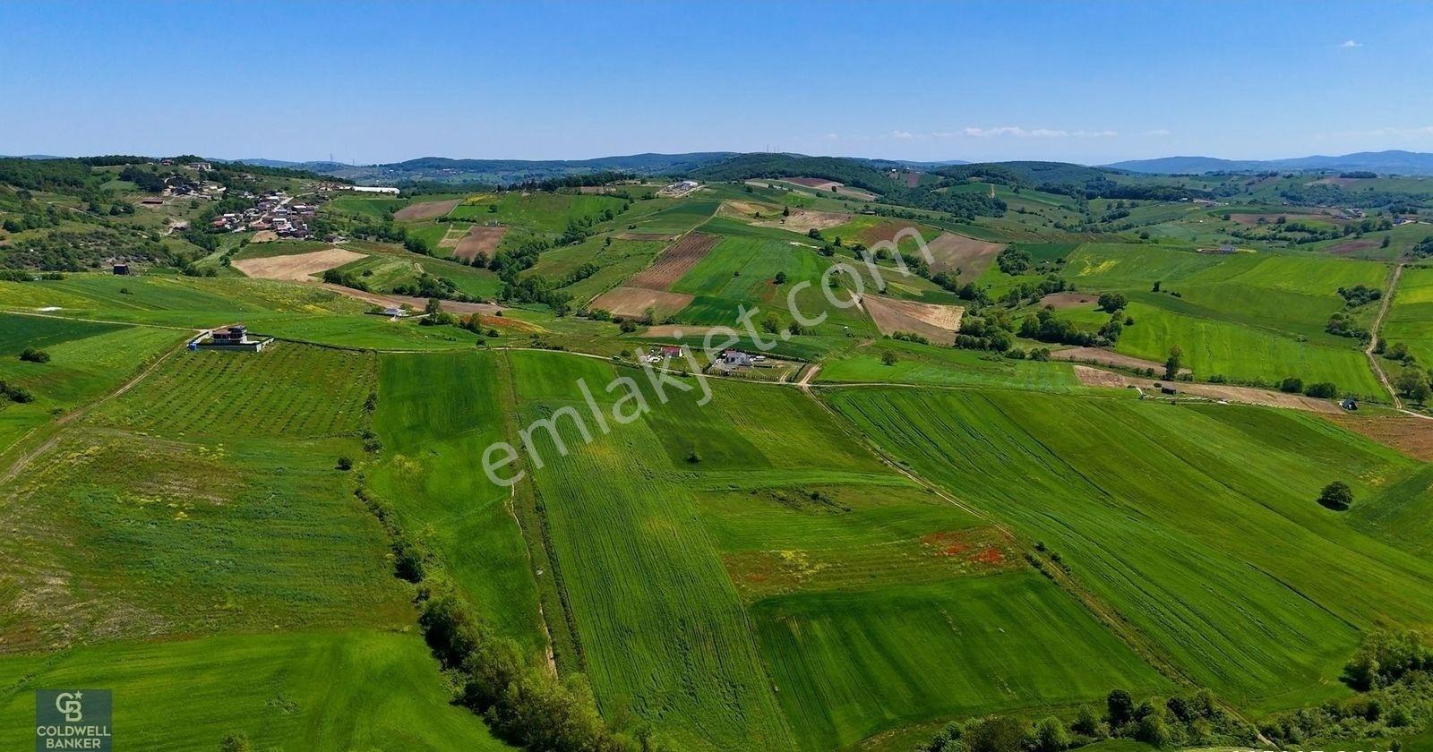Derince Tahtalı Resmi Yol Cepheli Satılık %5 İmarlı Değerli Arsa - Görsel 12