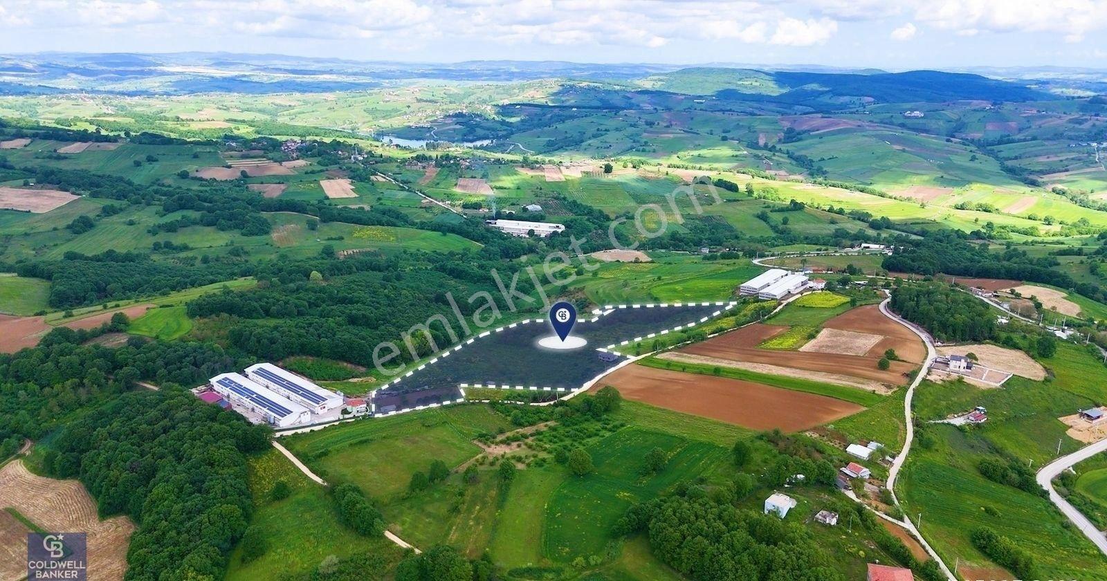 Cb Akademi İzmit Akmeşe Ambarcı Köyünde 54.000m2 Satılık Tarla - Görsel 21