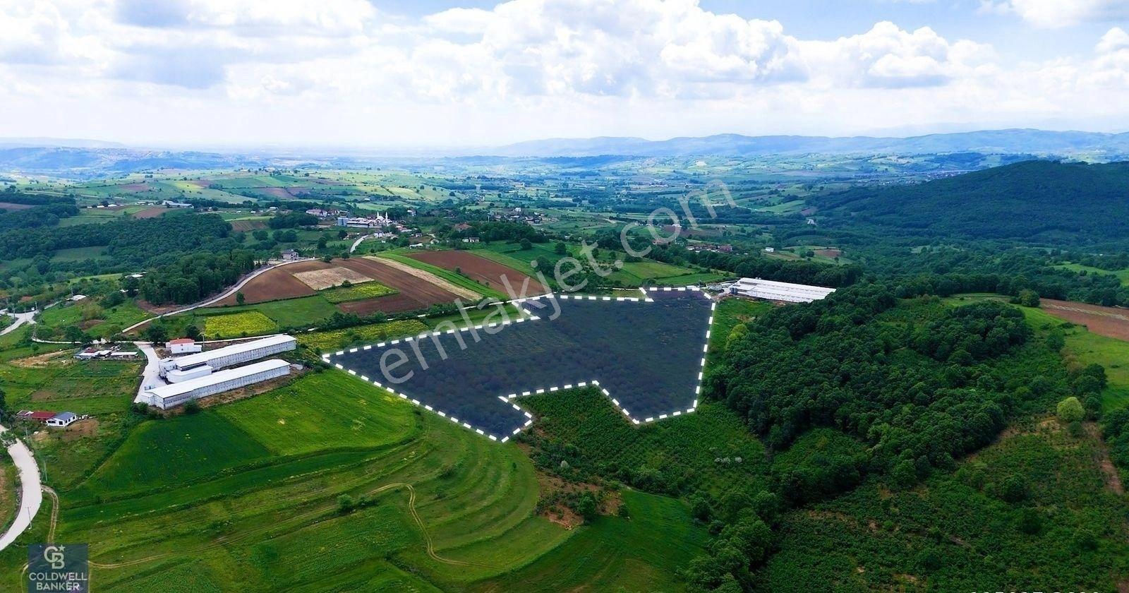 Cb Akademi İzmit Akmeşe Ambarcı Köyünde 54.000m2 Satılık Tarla - Görsel 8