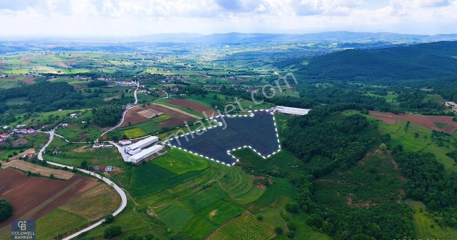 Cb Akademi İzmit Akmeşe Ambarcı Köyünde 54.000m2 Satılık Tarla - Görsel 30