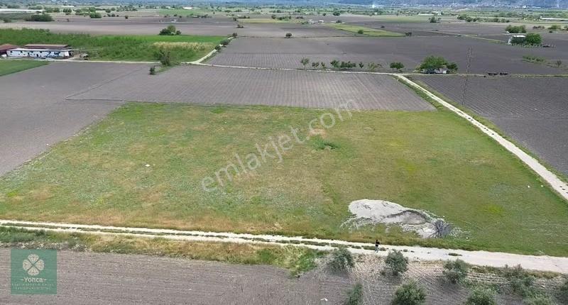 Kırkağaç Tevfikiye Mahallesi Satılık Tarla - Görsel 8