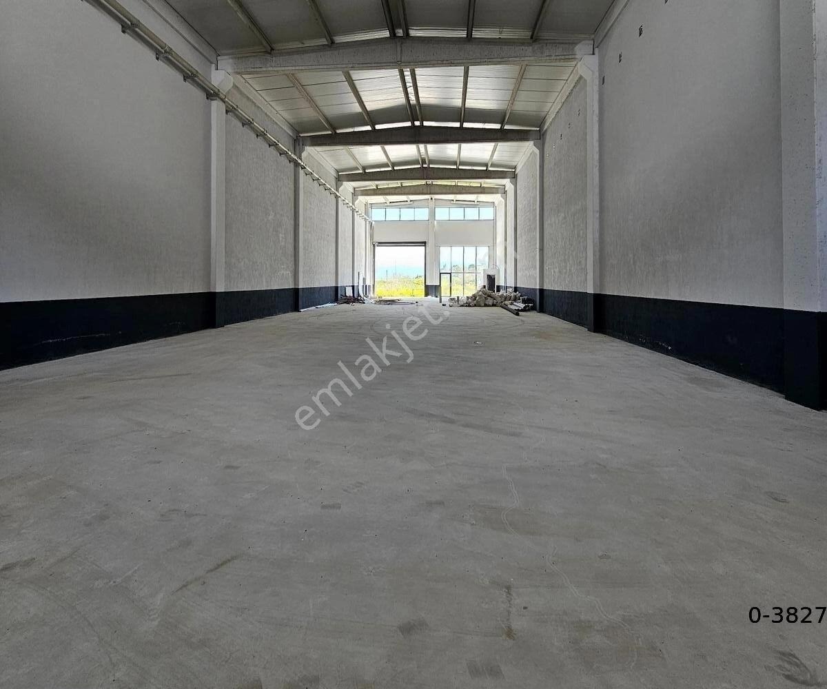 Eskihisar Kavşakta Sıfır Yüksek Tavan Kiralık Fabrika & Depo - Görsel 14