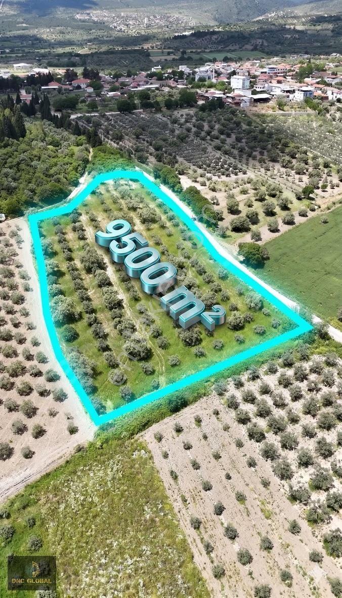 Manisa Şehzadeler Halıtlıda Kupon Arazi