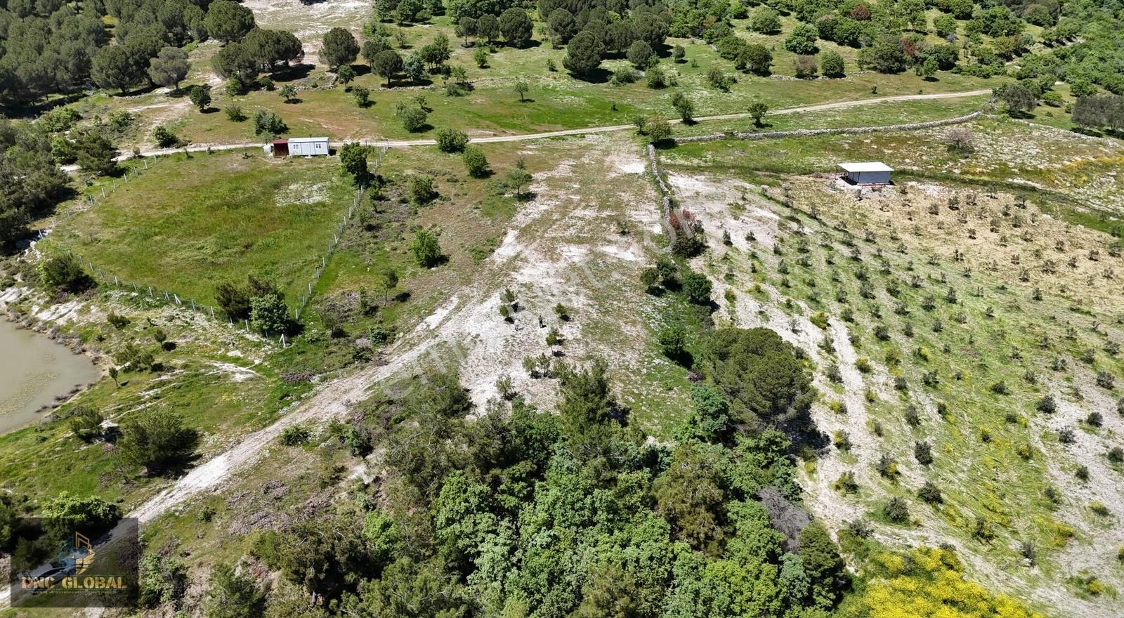 Manisa Osmancalı Da Satılık Tarla - Görsel 2