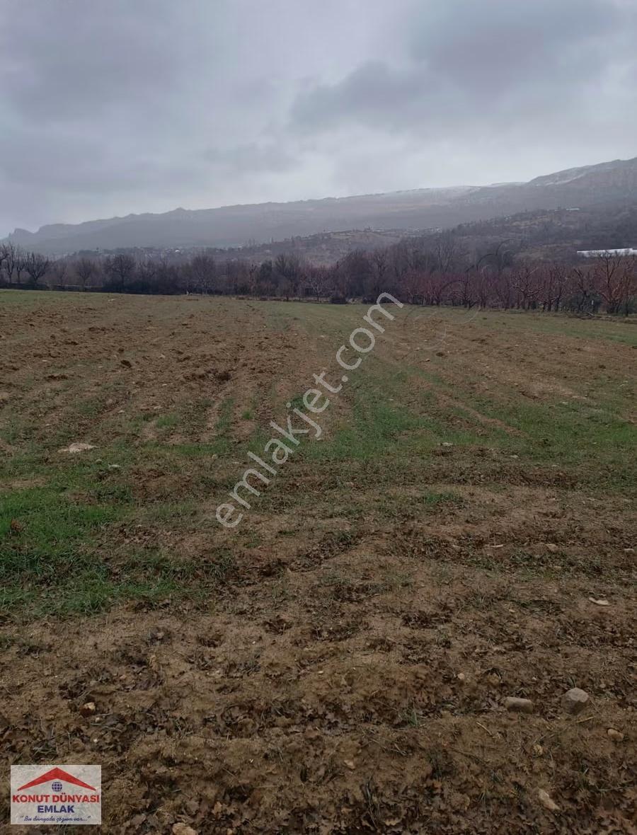 Karaman Ermenek Güneyyurt Kasabası Satılık Yol Üzeri Düz Tarla - Görsel 25