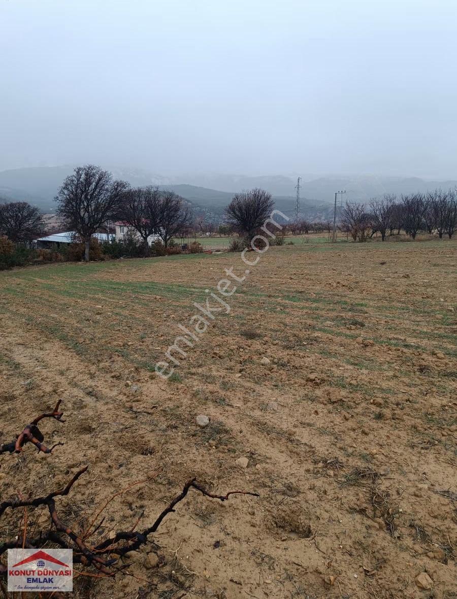 Karaman Ermenek Güneyyurt Kasabası Satılık Yol Üzeri Düz Tarla - Görsel 20