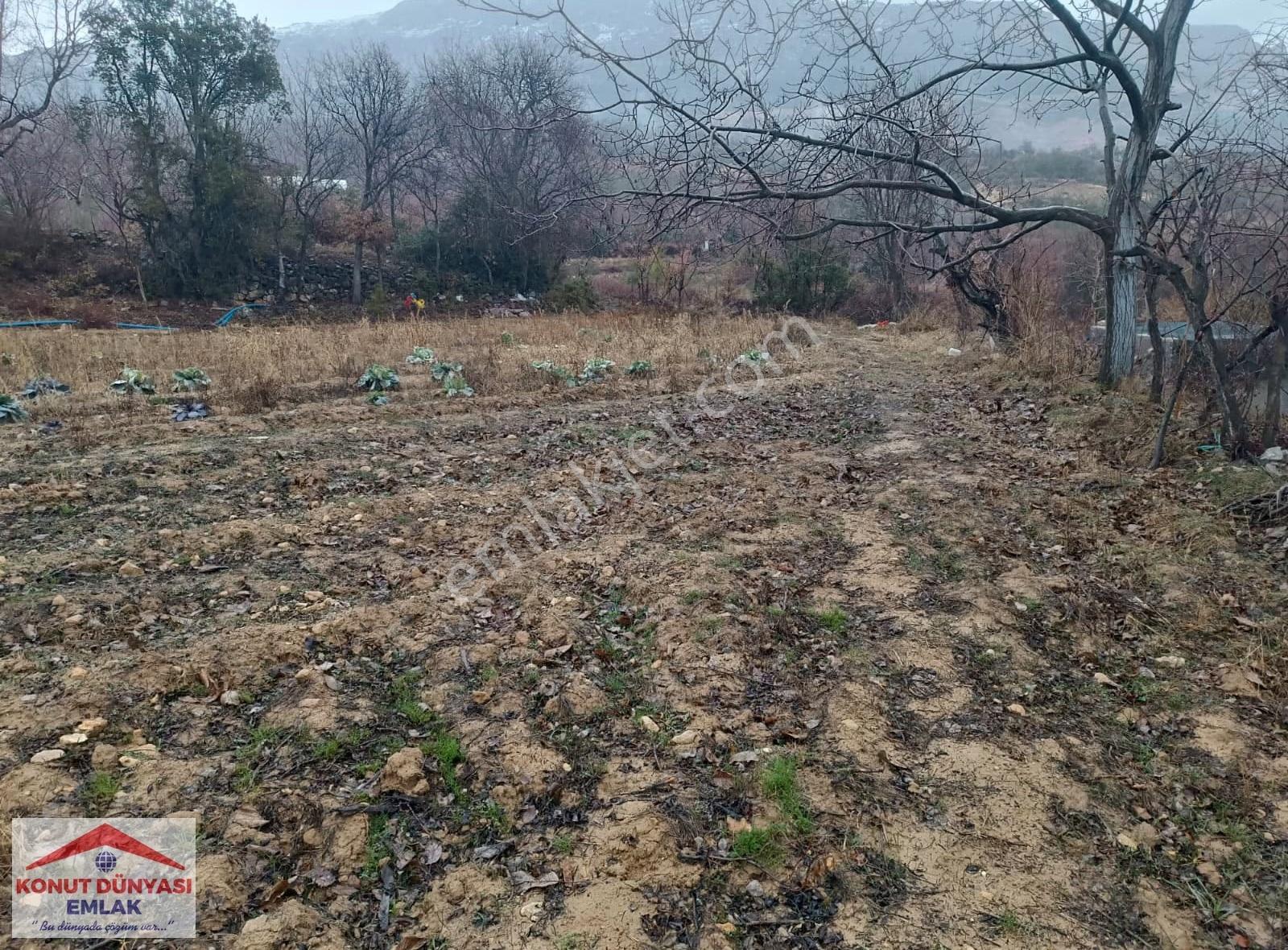 Karaman Ermenek Güneyyurt Kasabası Satılık Yol Üzeri Düz Tarla - Görsel 15