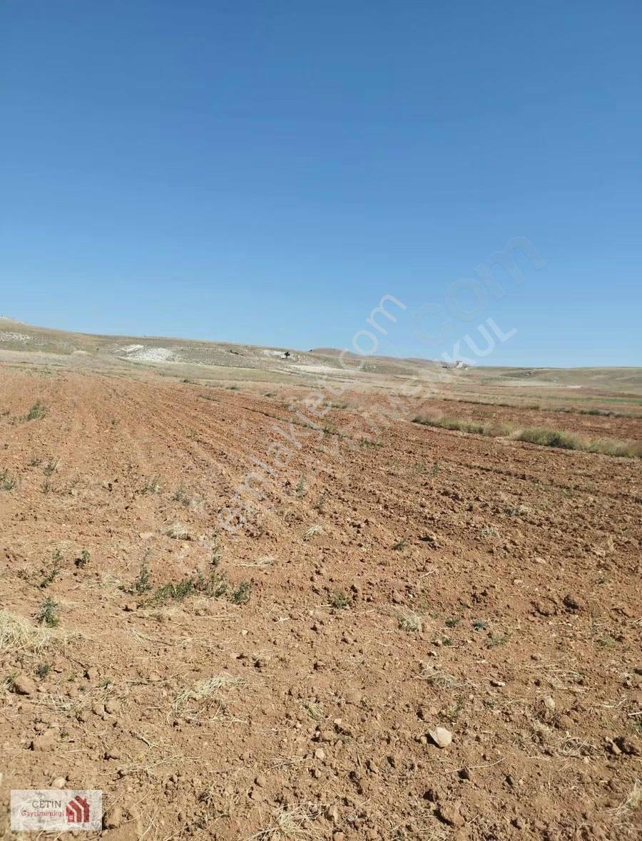 Korkuteli Beğiş Köyünde 4.996 M2 Yatırımlık Fırsat Arazi - Görsel 2