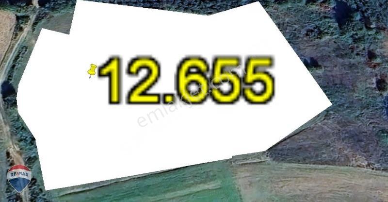 Re/max Mavi'den Çiftlik Yapımına Uygun %5 İmarlı Köy İçi Tarla - Görsel 2
