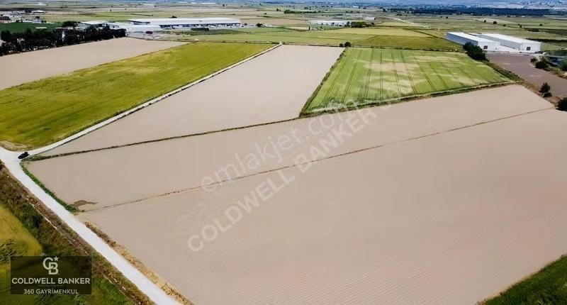 Menemen Günerli De Yola Cephe 20.056m2 Depo Yapımına Uygun Arazi - Görsel 26