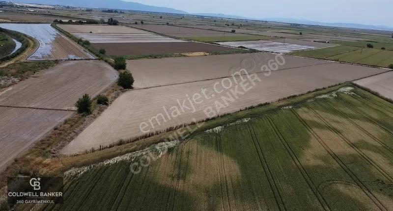 Menemen Günerli De Yola Cephe 20.056m2 Depo Yapımına Uygun Arazi - Görsel 22