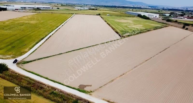Menemen Günerli De Yola Cephe 20.056m2 Depo Yapımına Uygun Arazi - Görsel 9