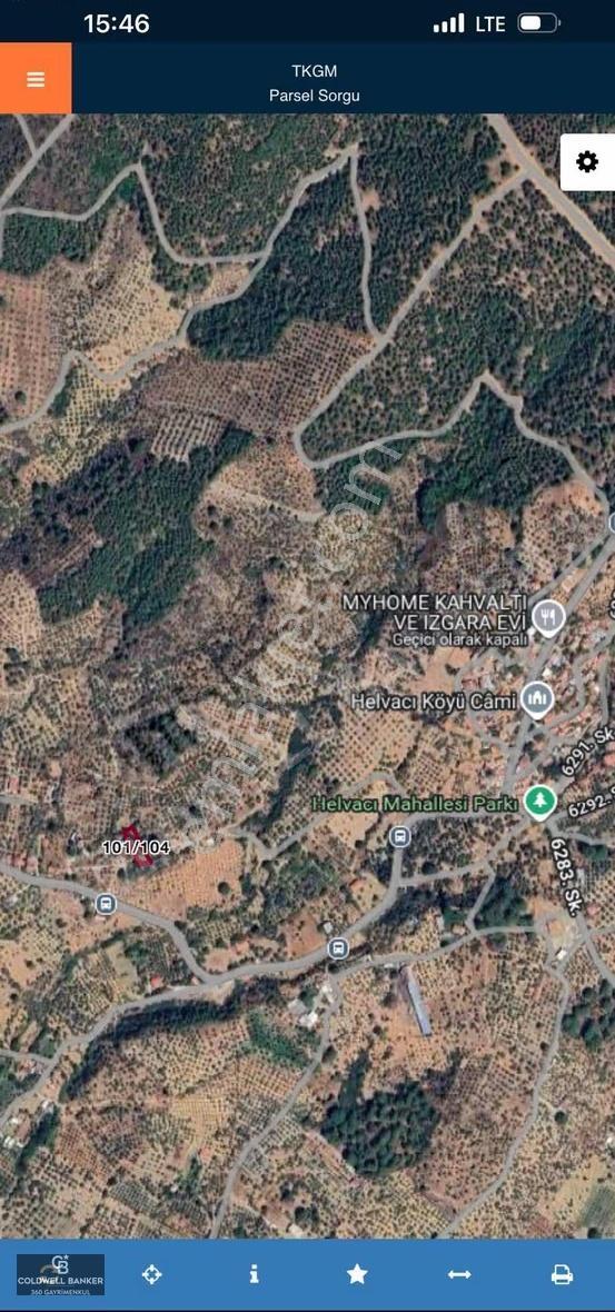 İzmir Torbalı Helvacı Da Satılık Müstakil Parsel Zeytinlik