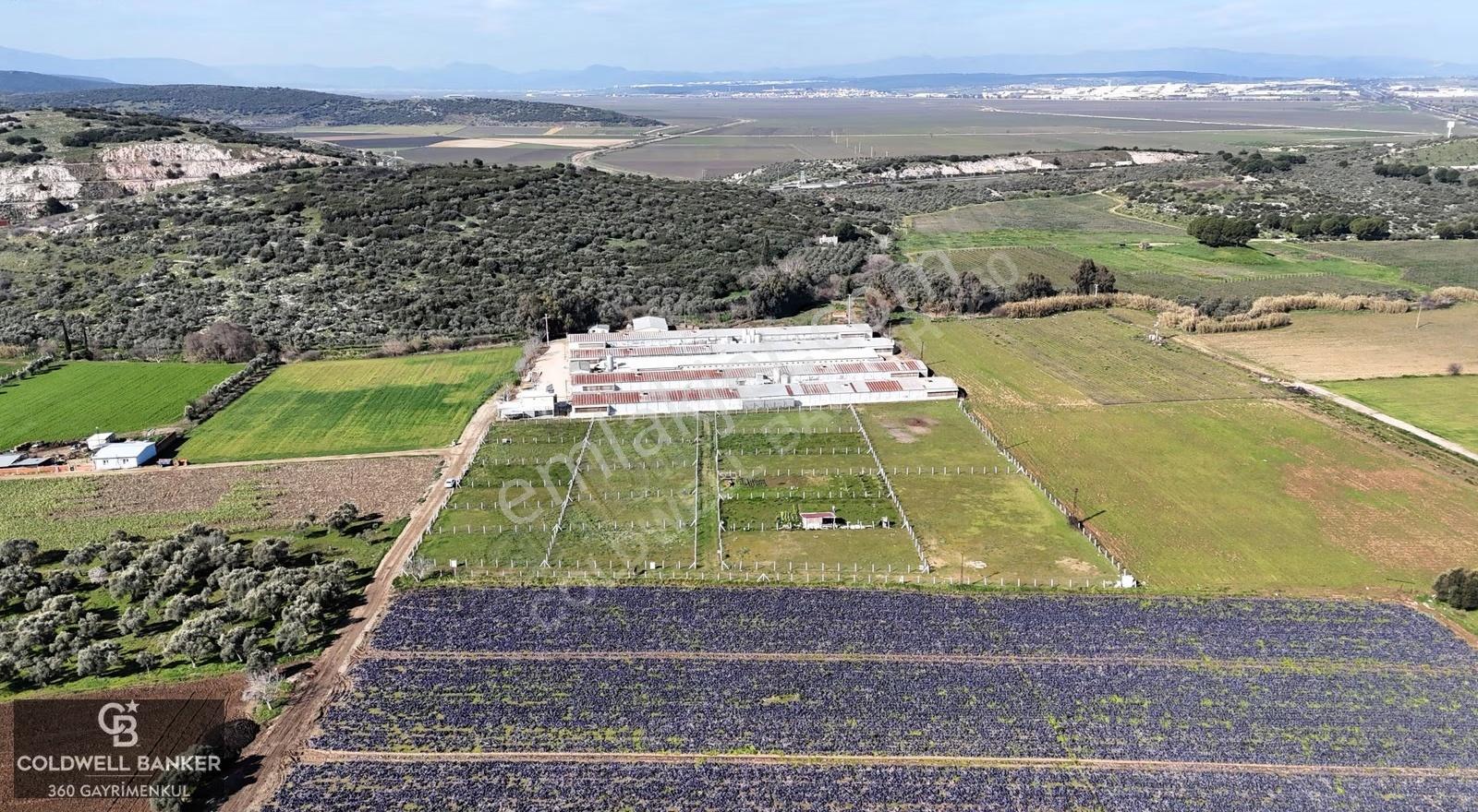 İzmir Torbalı'da 2.302 M2 Satılık Yaşam Ve Yatırım Bahçesi - Görsel 11
