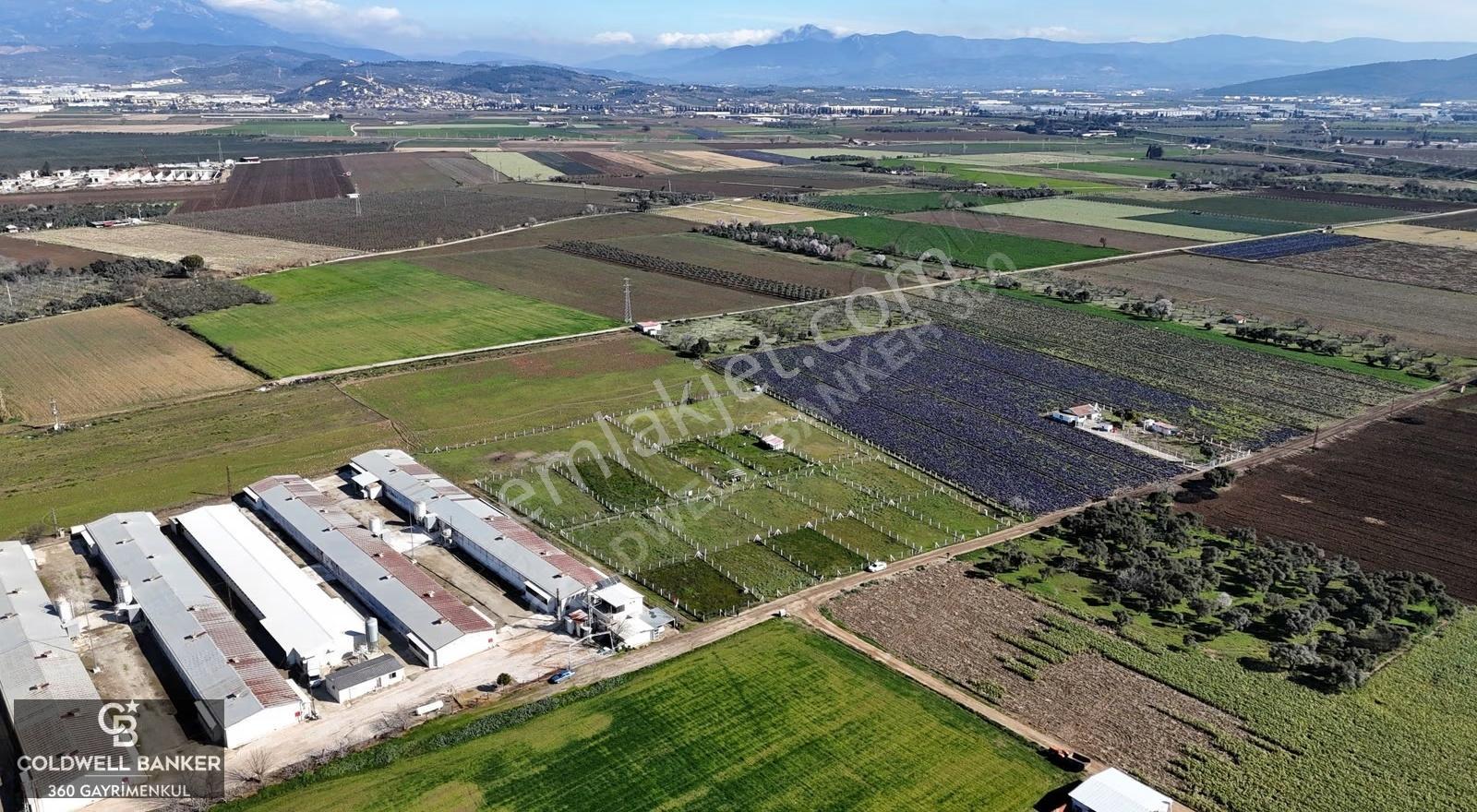 İzmir Torbalı'da 2.302 M2 Satılık Yaşam Ve Yatırım Bahçesi - Görsel 5