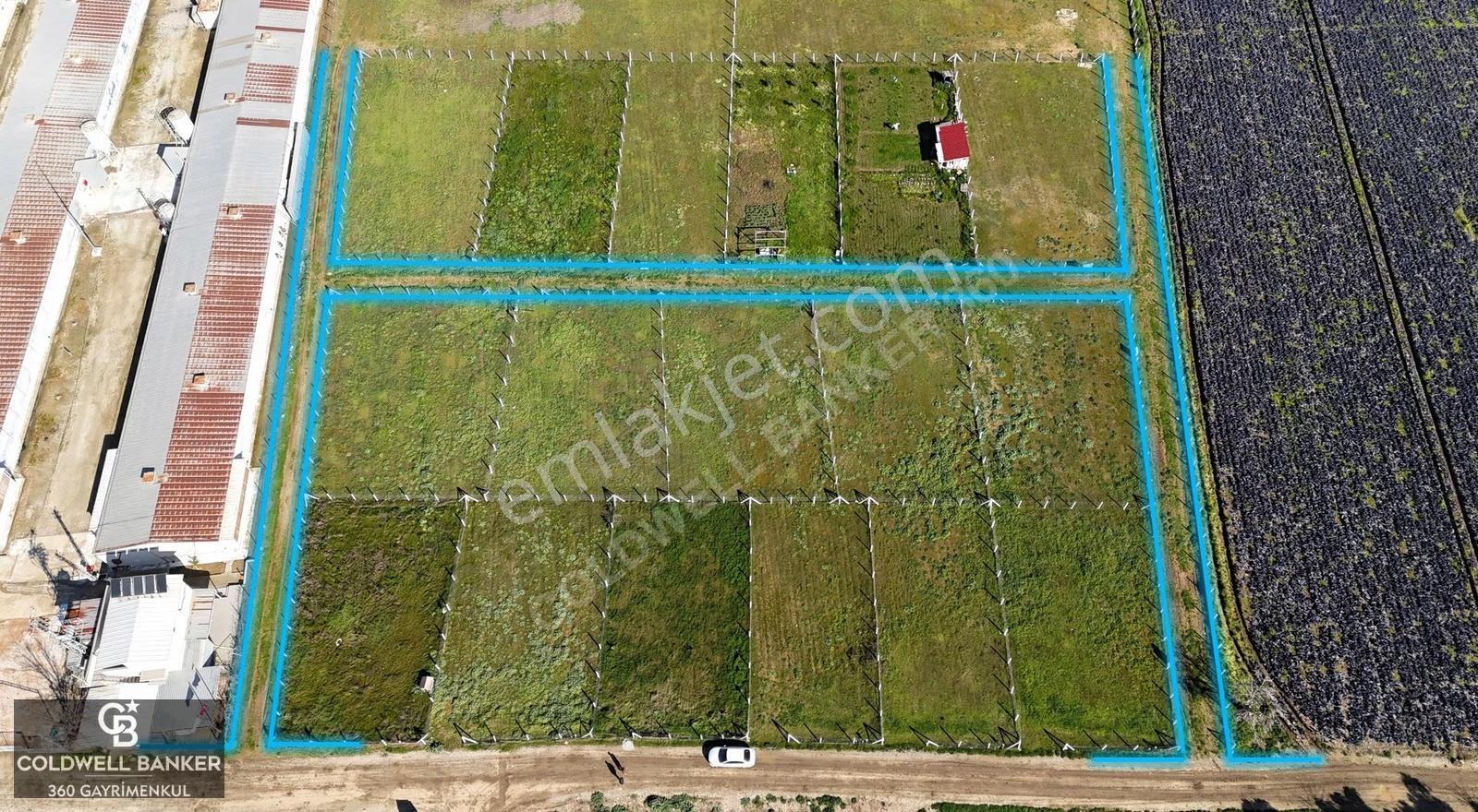 İzmir Torbalı'da 2.302 M2 Satılık Yaşam Ve Yatırım Bahçesi - Görsel 3
