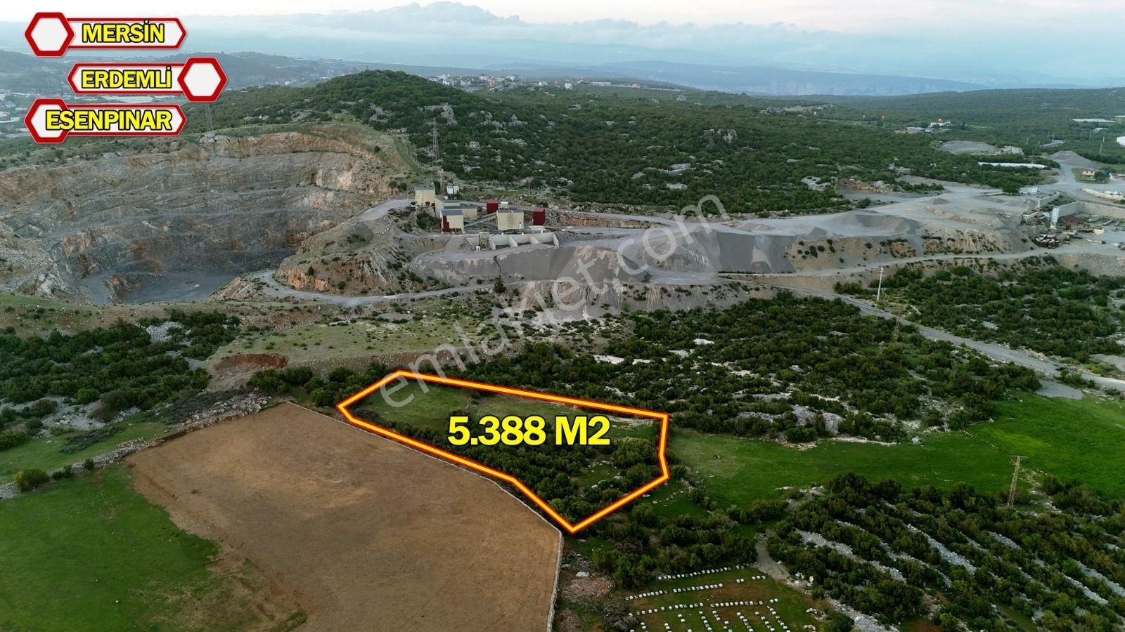 Erdemli Esenpınar Merkez Satılık 13620 M2 Satılık Tarla - Görsel 24