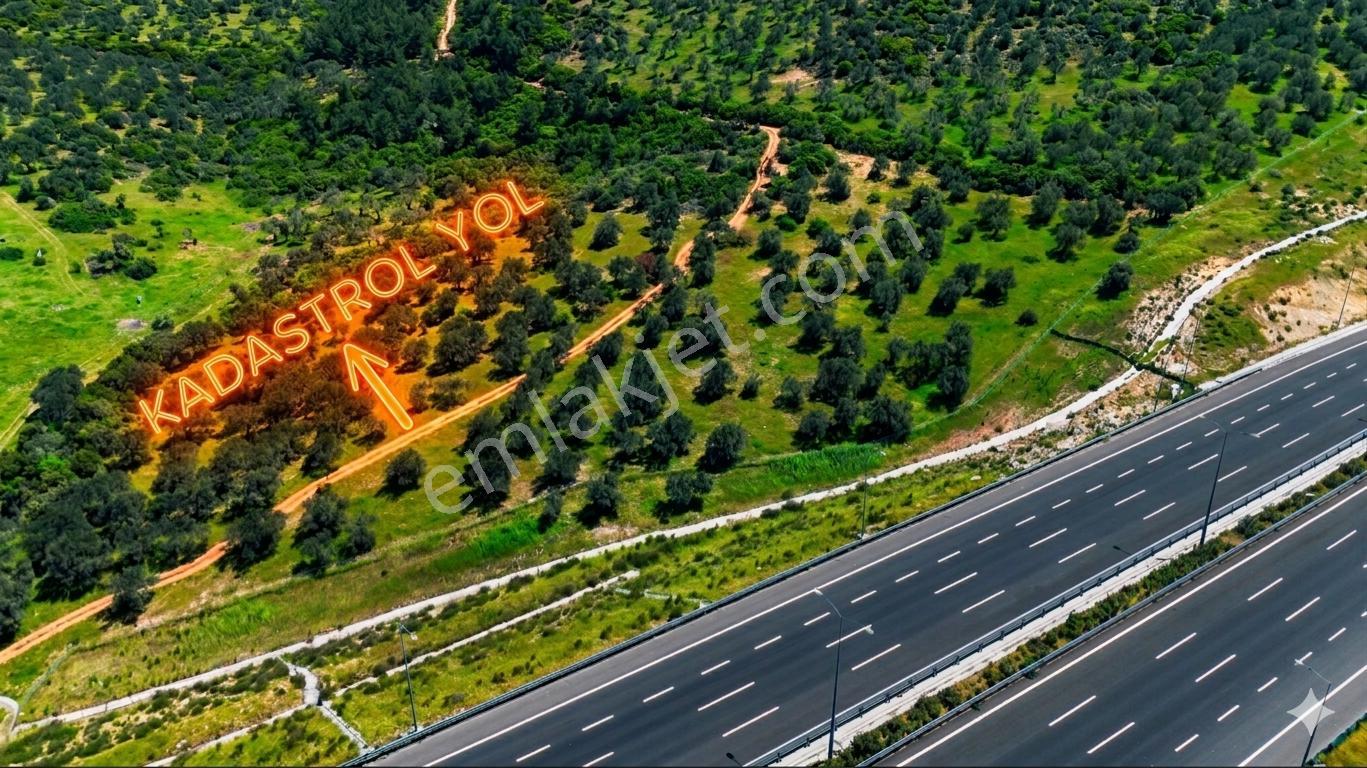 Kuzey Ege Otoyoluna 200m Cepheli Opetin Yanında Denize 1.6km - Görsel 4
