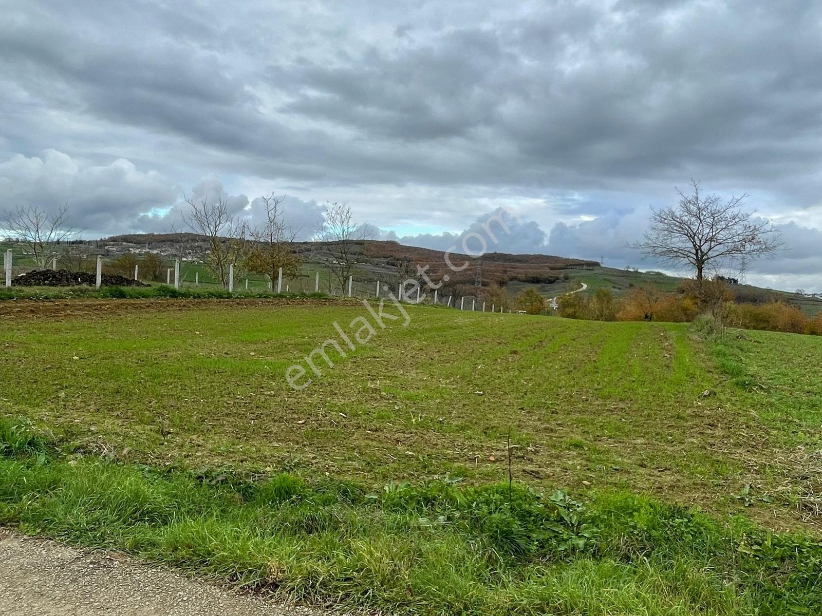 Kandıra Seyitalilerde Asfalt Cepheli %5 İmarlı 1792 M² Tek Tapu