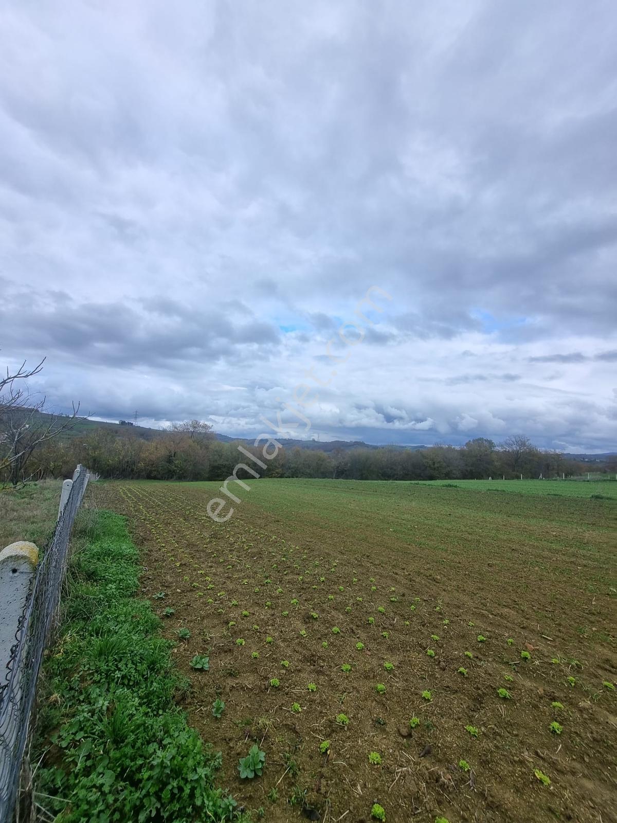 Kandıra Seyitalilerde Asfalt Cepheli %5 İmarlı 1792 M² Tek Tapu - Görsel 5