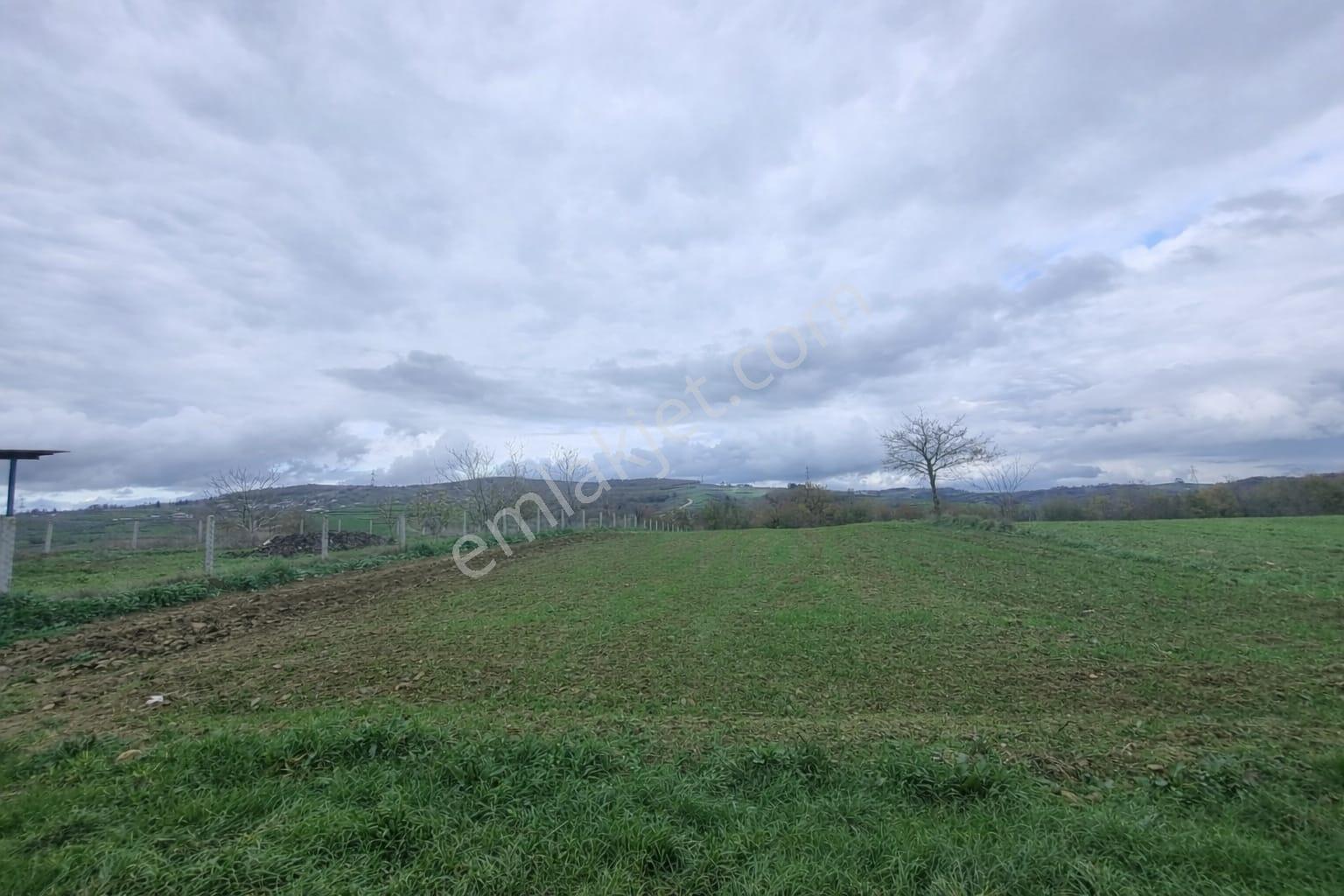 Kandıra Seyitalilerde Asfalt Cepheli %5 İmarlı 1792 M² Tek Tapu - Görsel 6