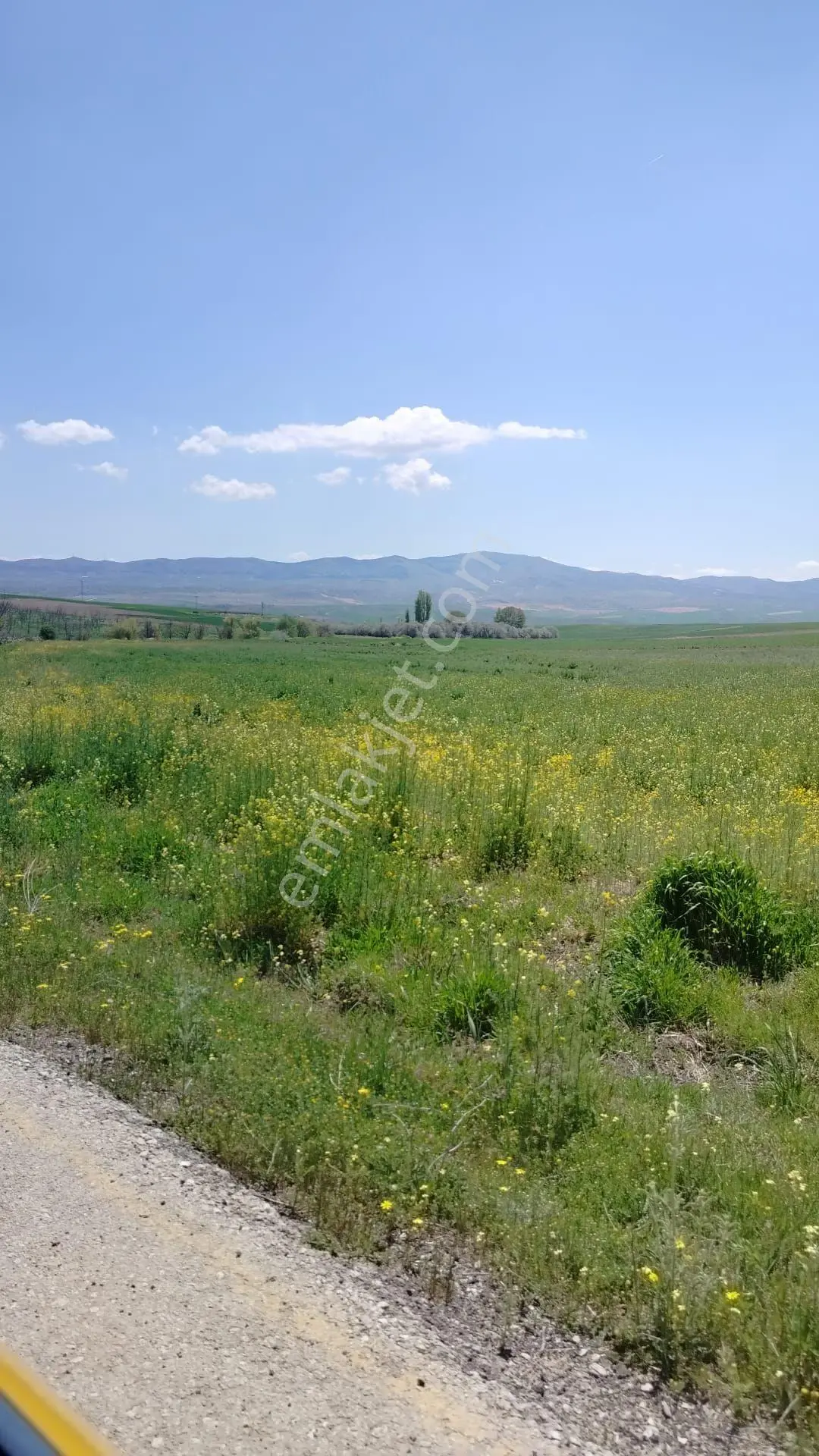 Baliseyhe 5dakıka .yola 10 Metre Mesafede Doga İle İç İçe Olan Arsamız Satiliktir
