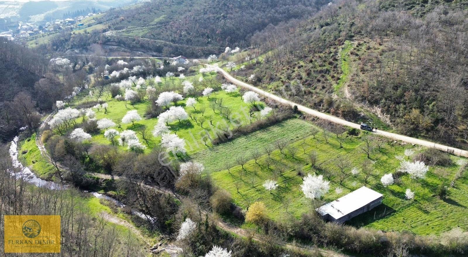 Furkan Demir'den Bursa İznik Yörükler'de 1186 M2 Satılık Bahçe - Görsel 4