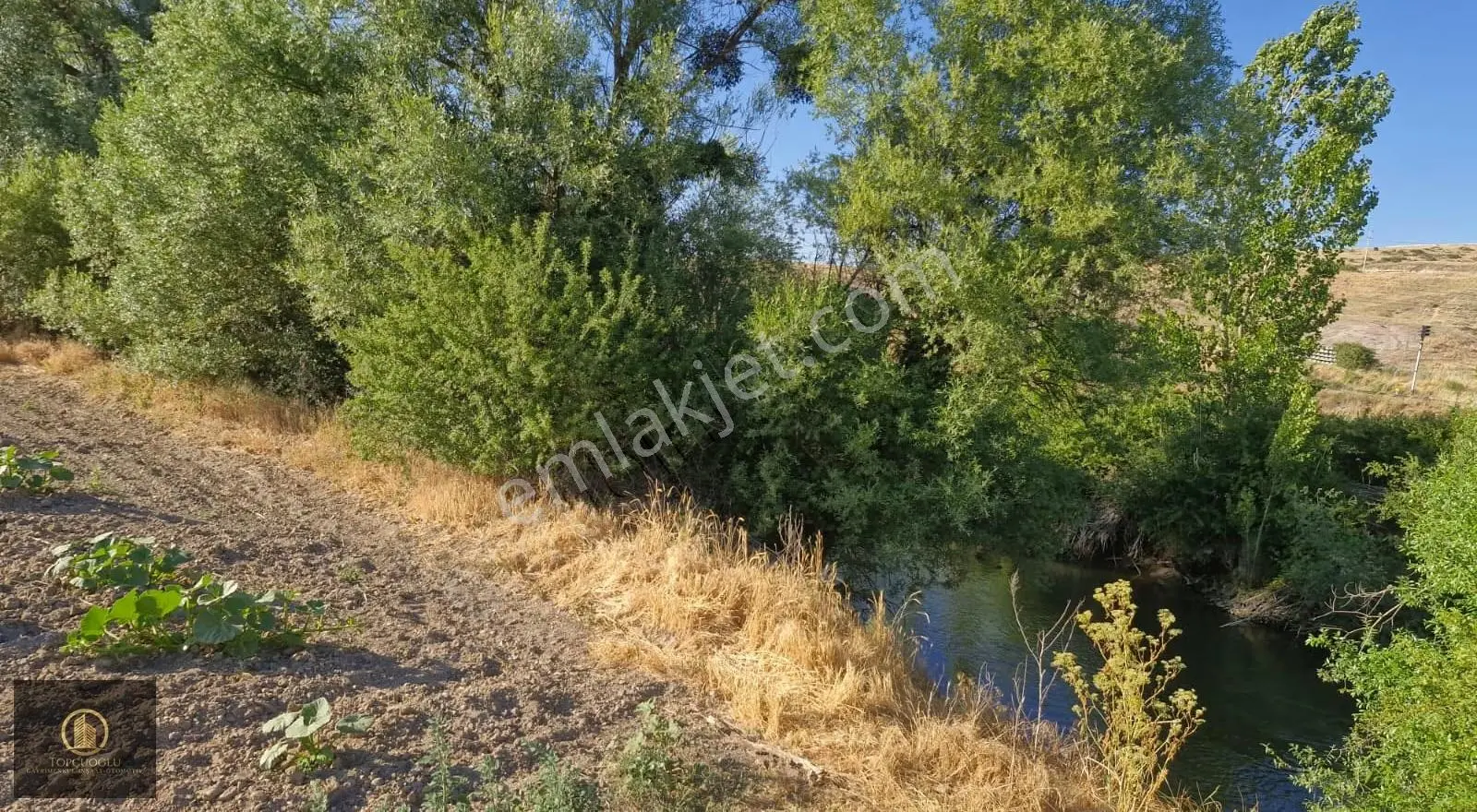 Eskişehirin Gözdesi Kızılinlerde Porsuk Nehri Cepheli Tarla