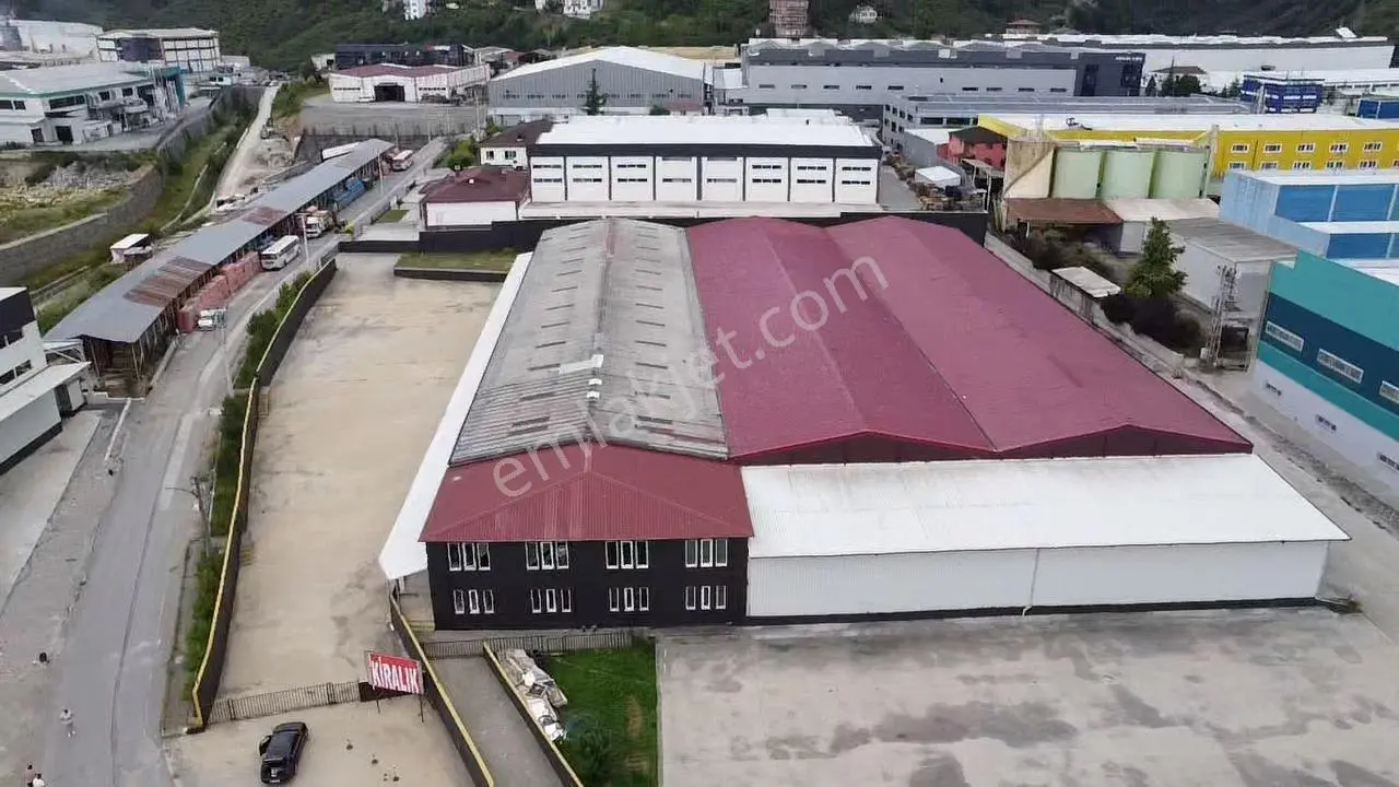 Trabzon Arsin Organize Sanayi Bölgesinde Satılık Fabrika - Görsel 2