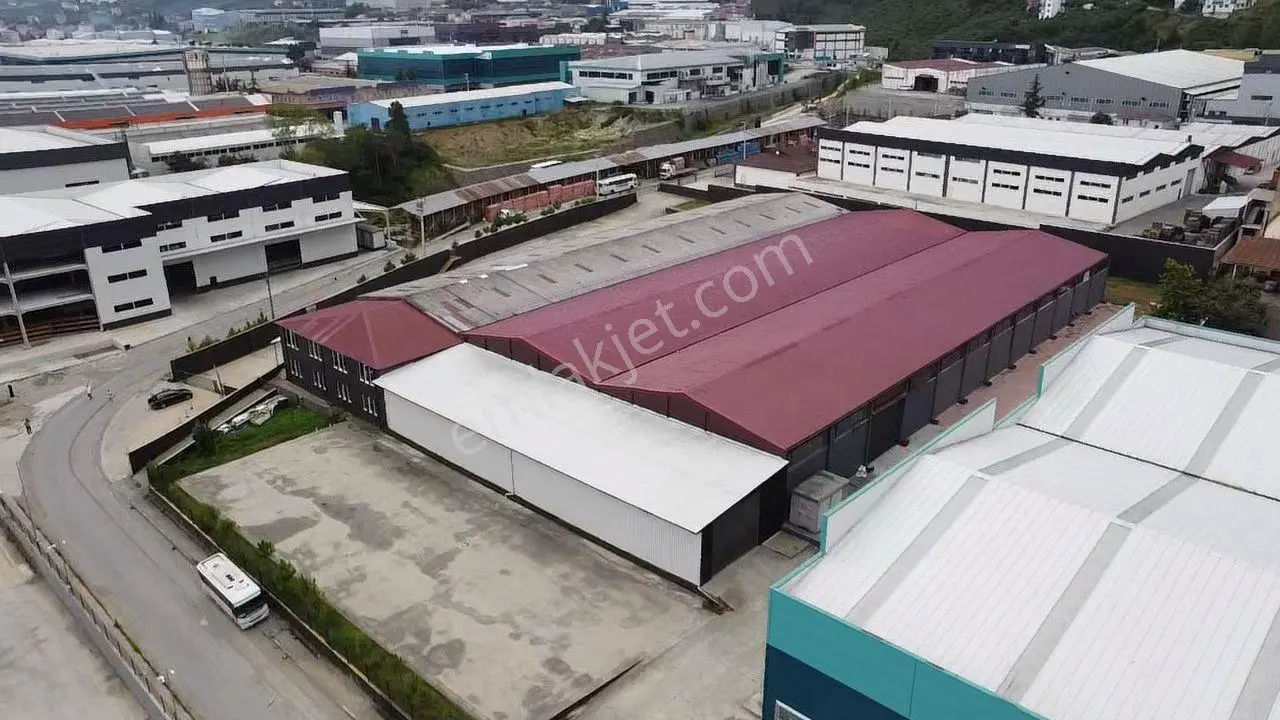 Trabzon Arsin Organize Sanayi Bölgesinde Satılık Fabrika - Görsel 3