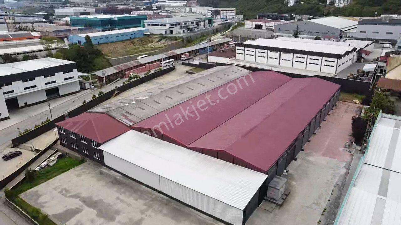 Trabzon Arsin Organize Sanayi Bölgesinde Satılık Fabrika - Görsel 4