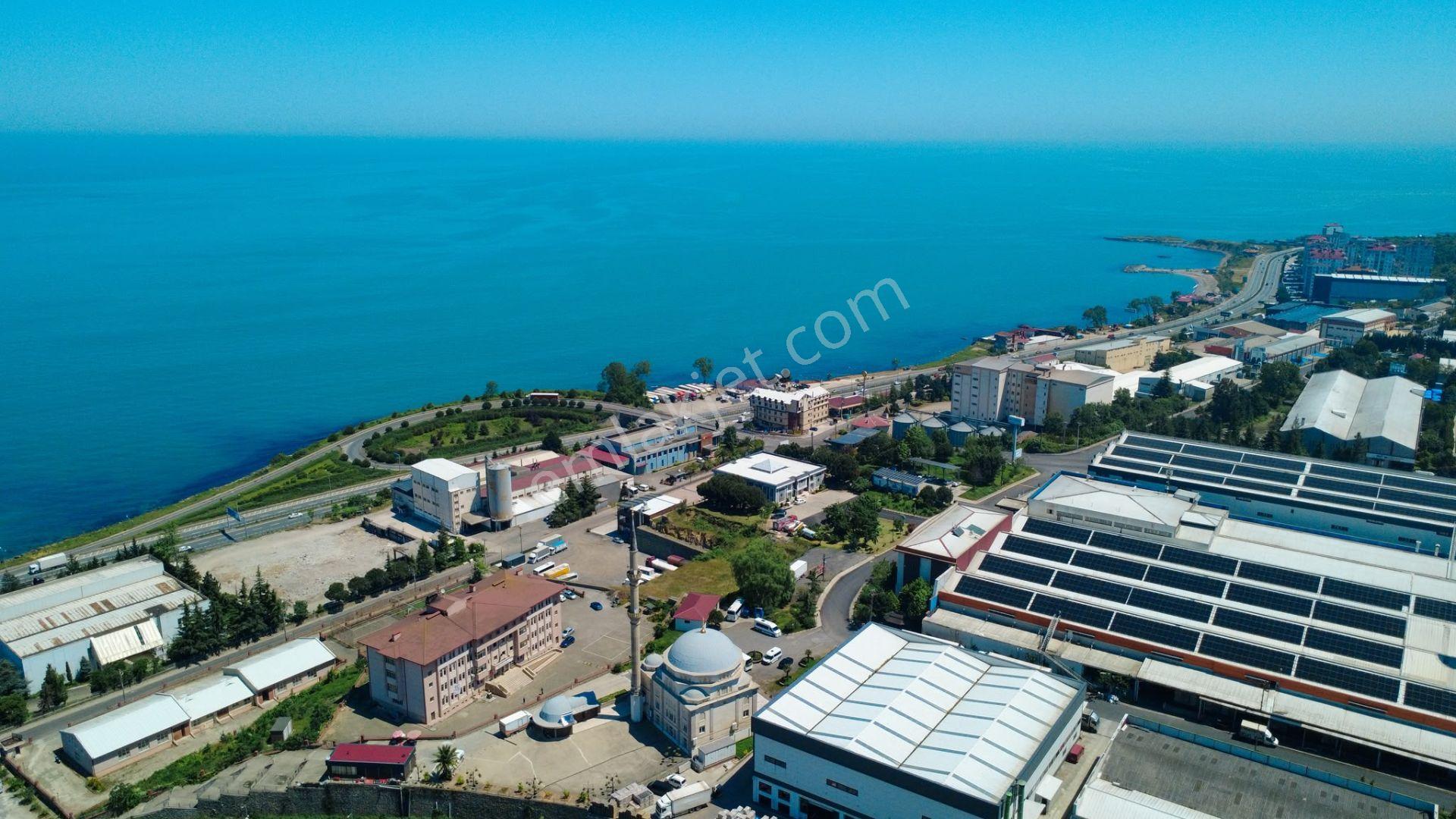 Trabzon Arsin Organize Sanayi Bölgesinde Satılık Fabrika - Görsel 8