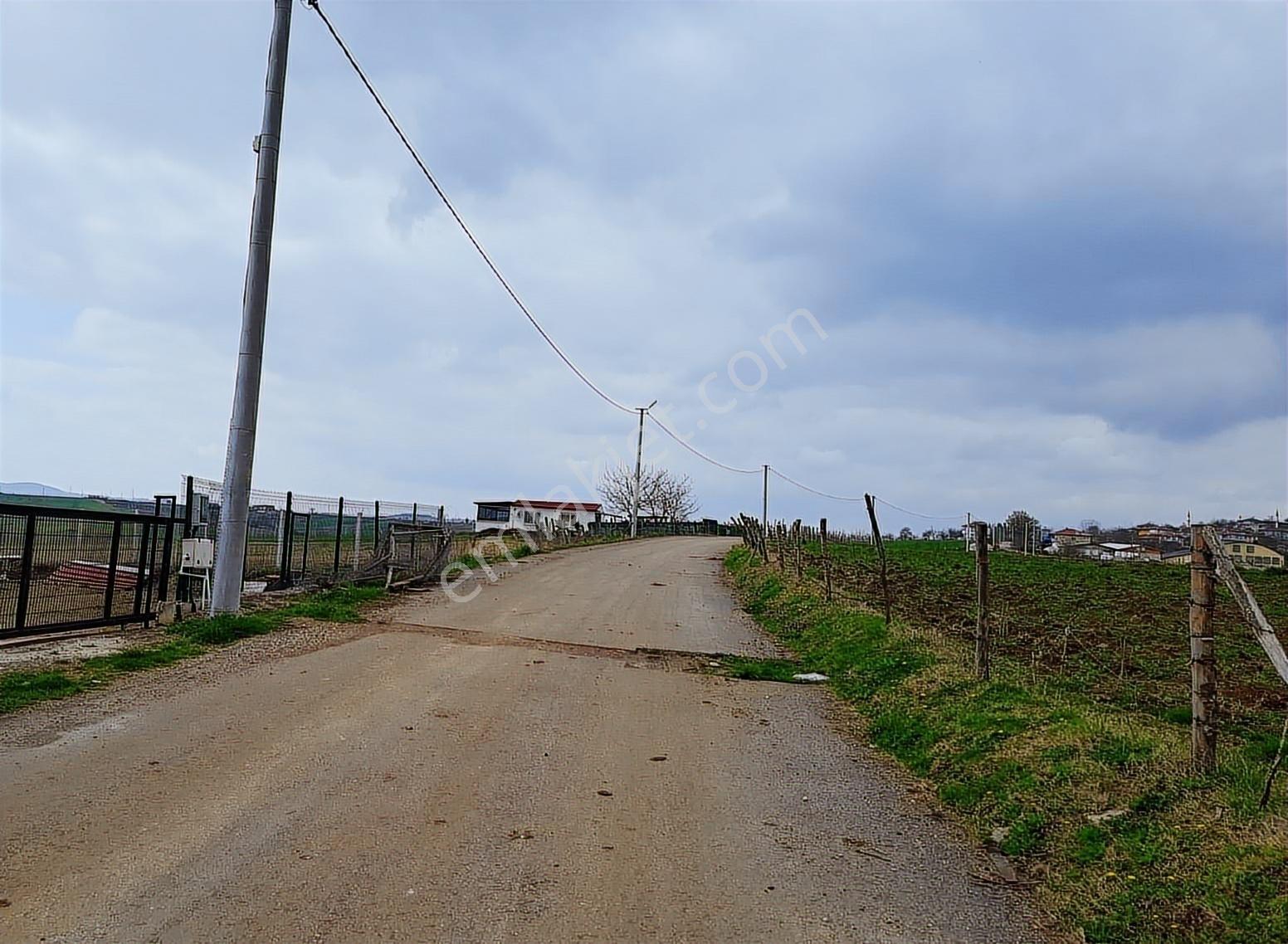 Acil Satılık Kandıra Plajına Yakın Osbye Komşu %5 İmarlı - Görsel 11