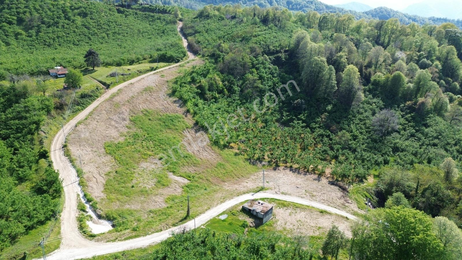 Tapu54 | Arifiye Kemaliye Mah. Emsalsiz 9.925 M2 Satılık Arazi