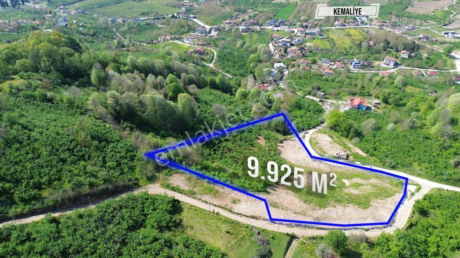 Tapu54 | Arifiye Kemaliye Mah. Emsalsiz 9.925 M2 Satılık Arazi - Görsel 9