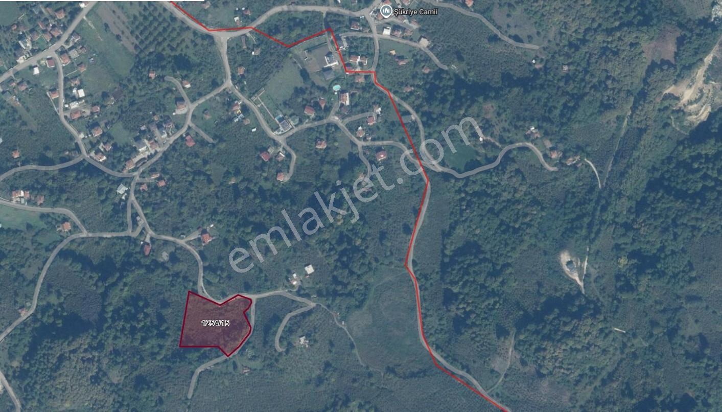 Tapu54 | Arifiye Kemaliye Mah. Emsalsiz 9.925 M2 Satılık Arazi - Görsel 8