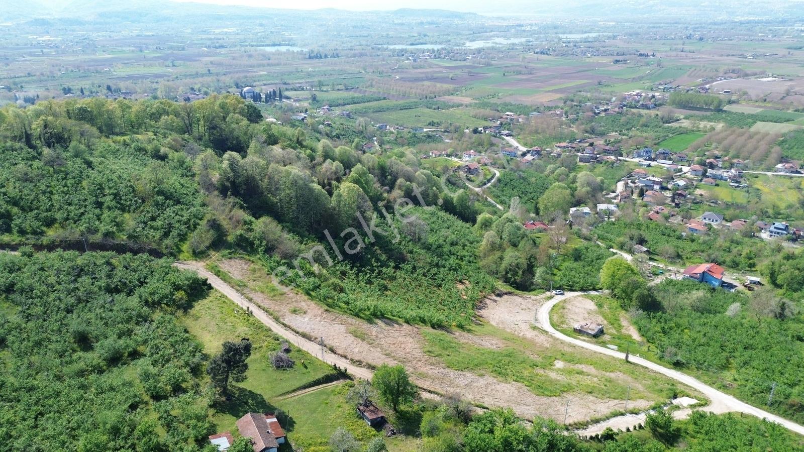 Tapu54 | Arifiye Kemaliye Mah. Emsalsiz 9.925 M2 Satılık Arazi - Görsel 3