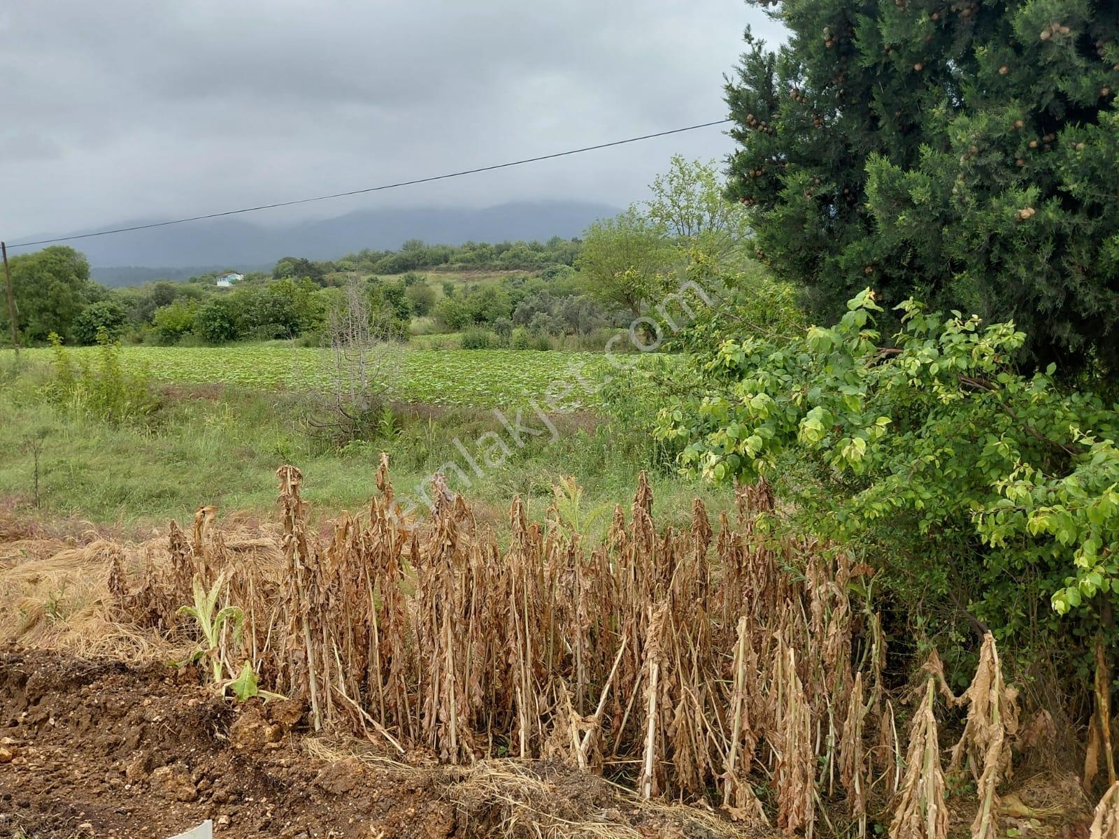 Bilecik-ankara Yolu Üzerinde 612 M2 Satılık Mükemmel Konum Arsa - Görsel 18