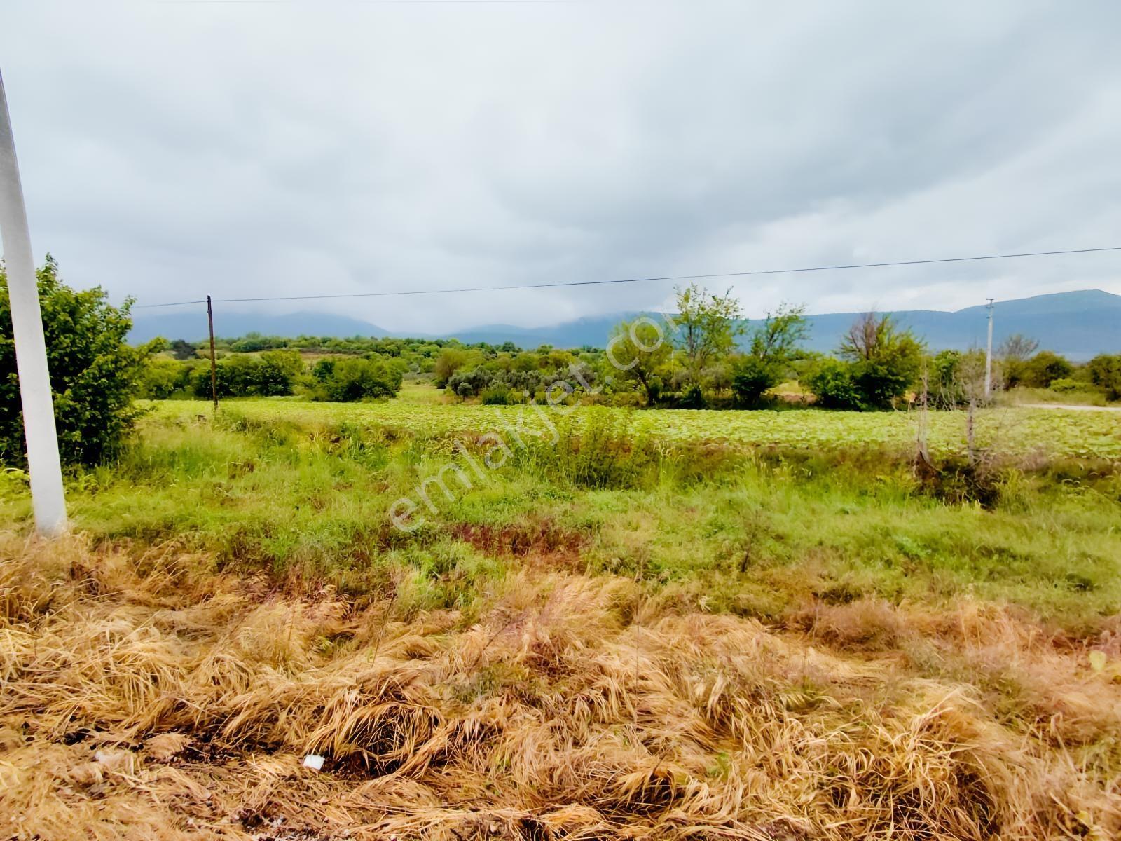 Bilecik-ankara Yolu Üzerinde 612 M2 Satılık Mükemmel Konum Arsa - Görsel 3