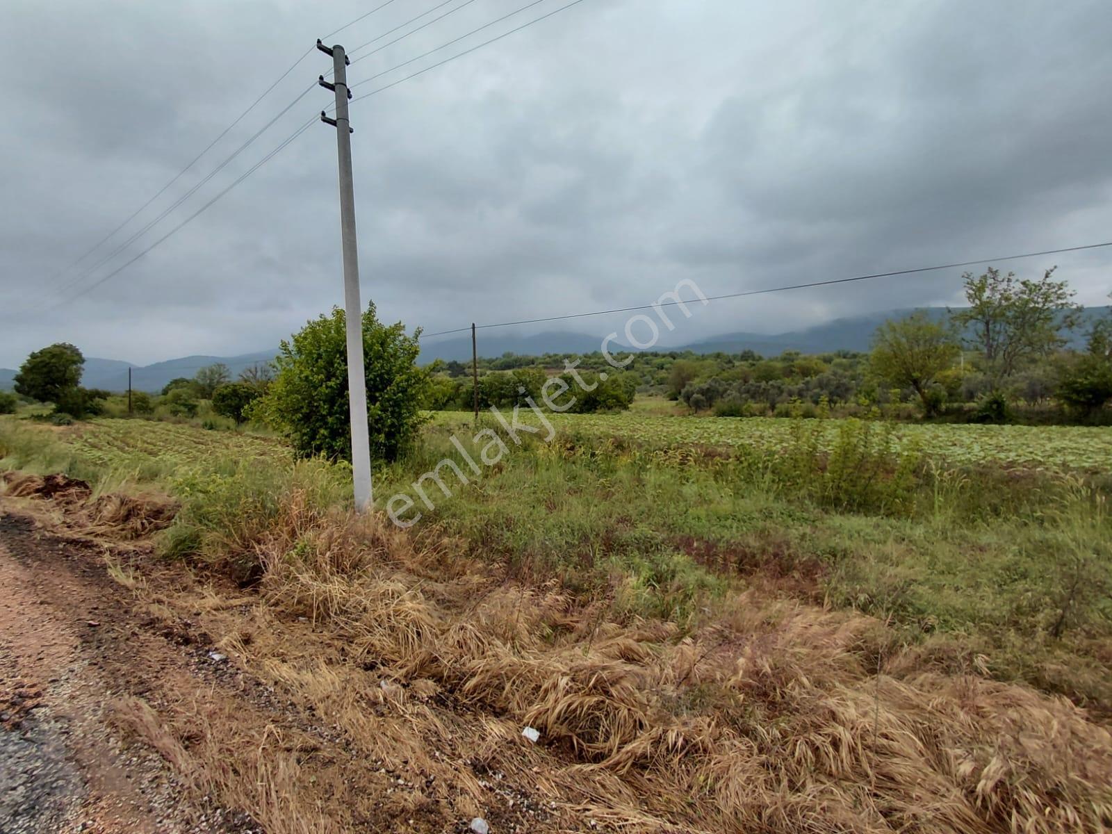 Bilecik-ankara Yolu Üzerinde 612 M2 Satılık Mükemmel Konum Arsa - Görsel 10