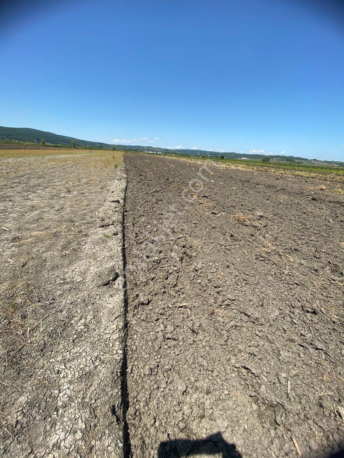 Serdivan Kazımpaşada Mükemmel Fiyata Yatırımlık 3.978 M2 Arazi - Görsel 11