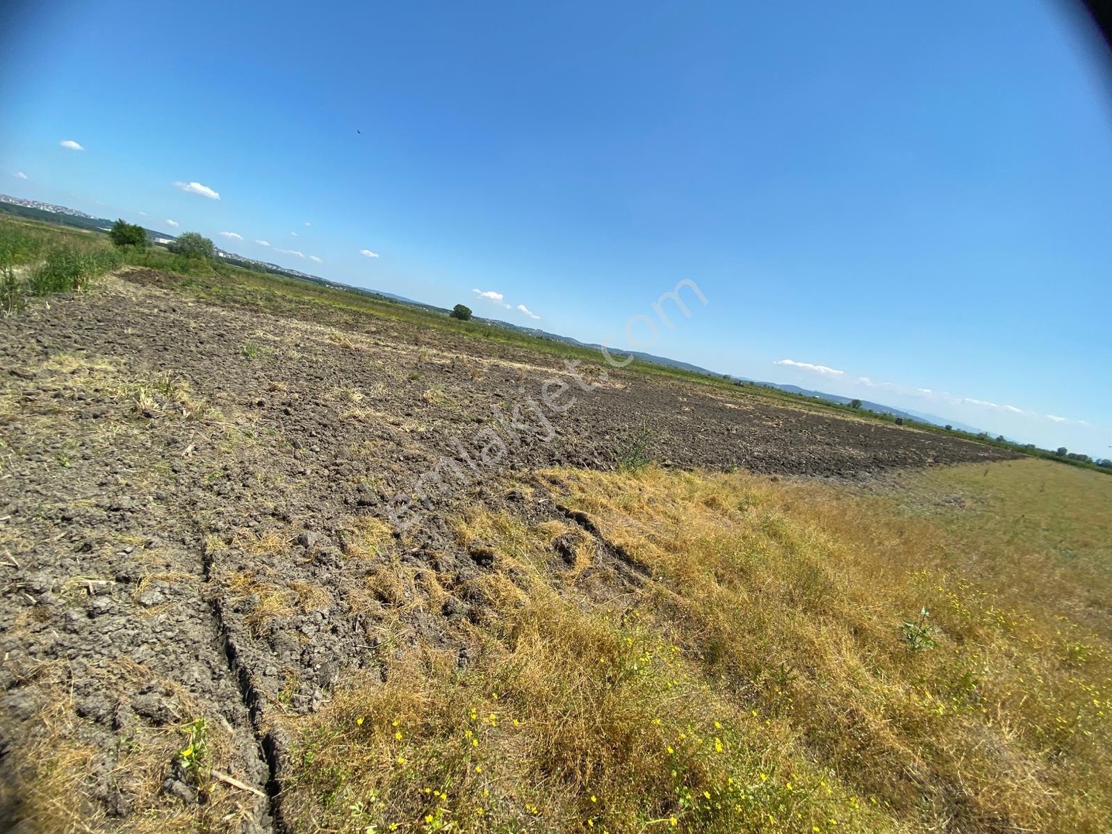 Serdivan Kazımpaşada Mükemmel Fiyata Yatırımlık 3.978 M2 Arazi - Görsel 7