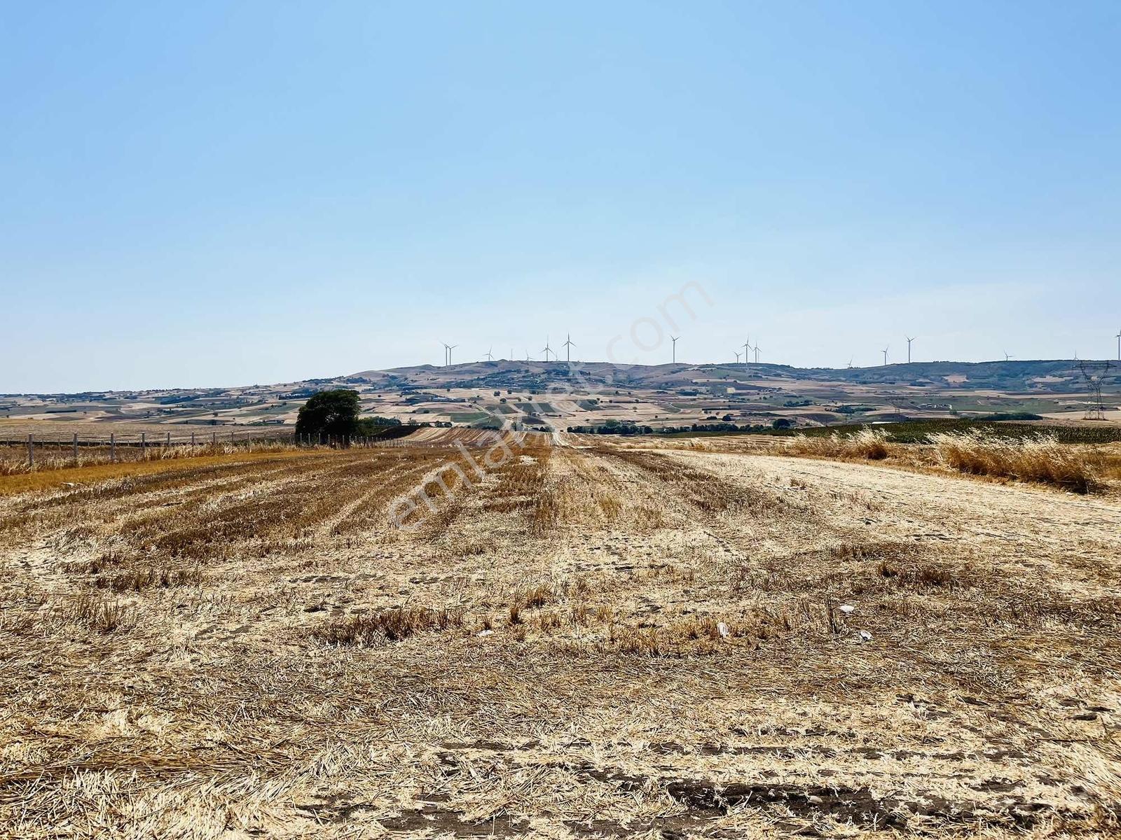 Silivri Çeltik Mah Asfalt Yola Cephe Yatırımlık 30.000 M² Tarla - Görsel 8