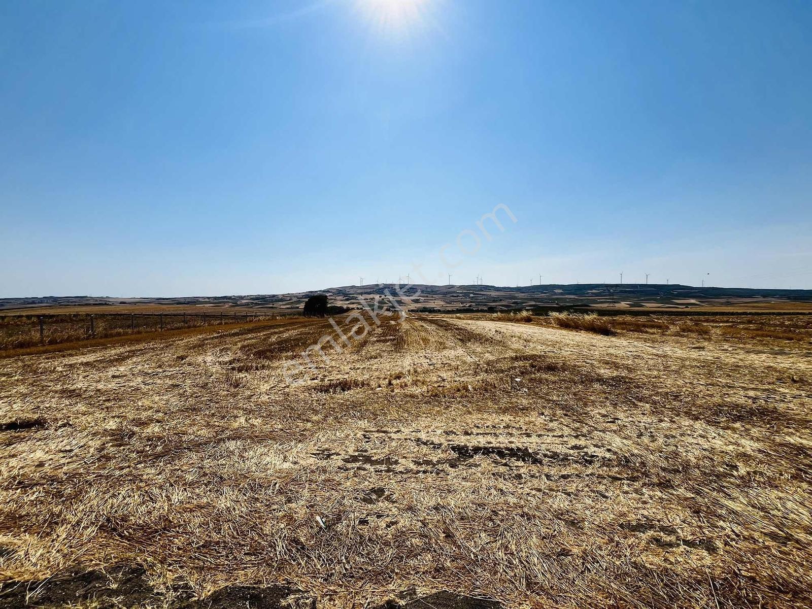 Silivri Çeltik Mah Asfalt Yola Cephe Yatırımlık 30.000 M² Tarla - Görsel 19