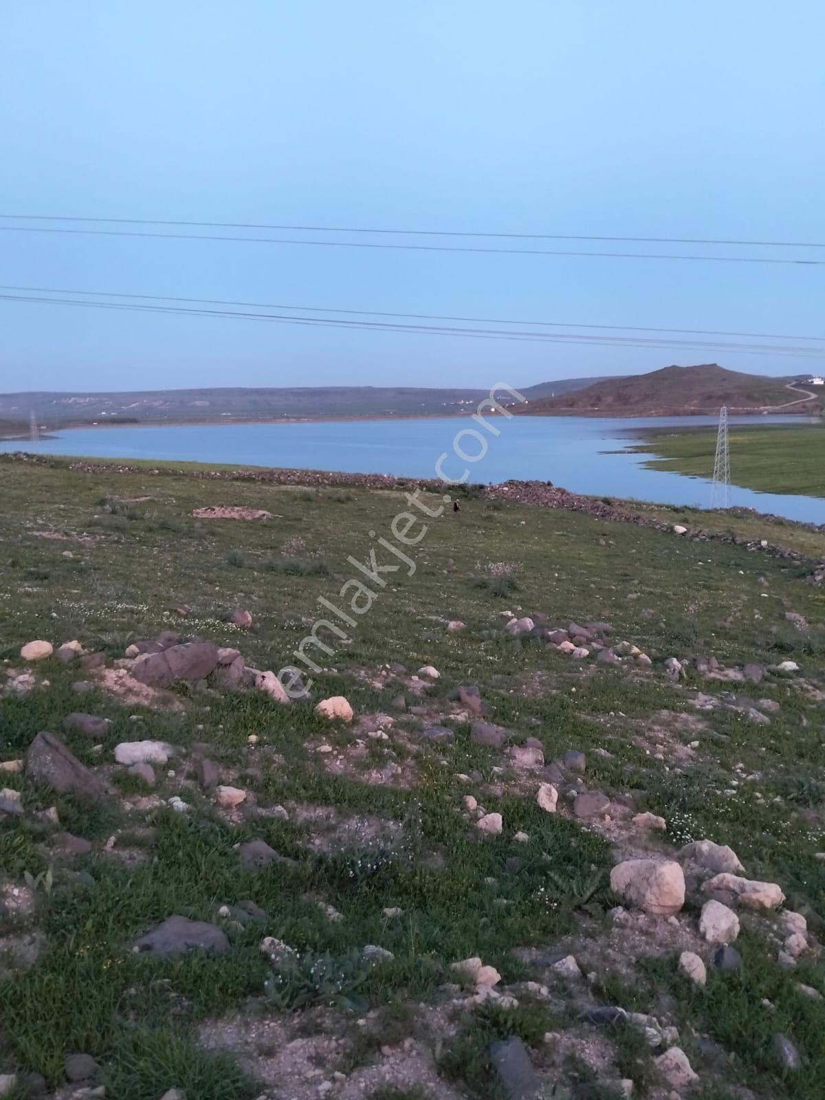 Ufkundan Kilis Merkez Uzunluda Göl Manzaralı Satılık Arazi - Görsel 6