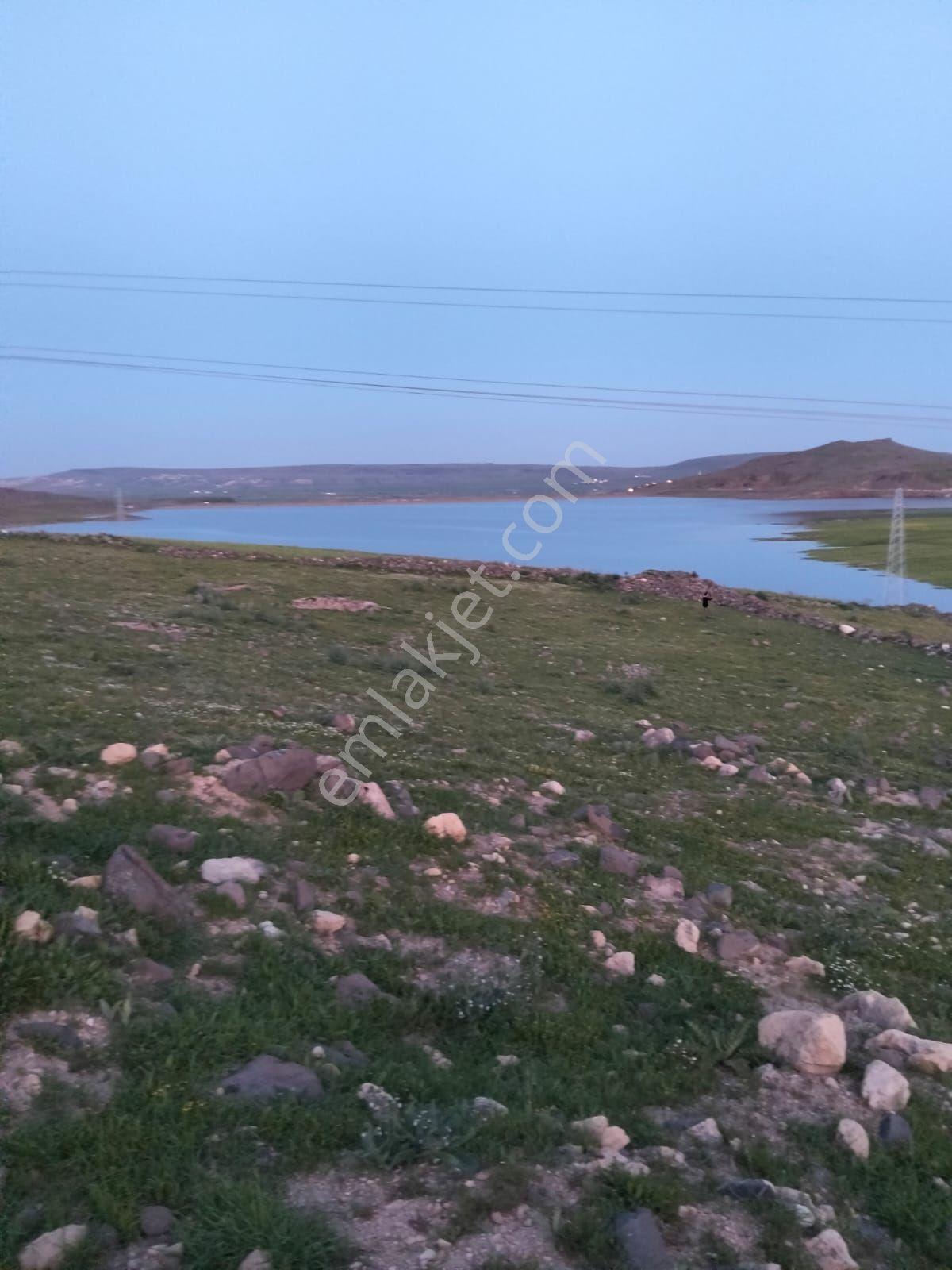 Ufkundan Kilis Merkez Uzunluda Göl Manzaralı Satılık Arazi - Görsel 5