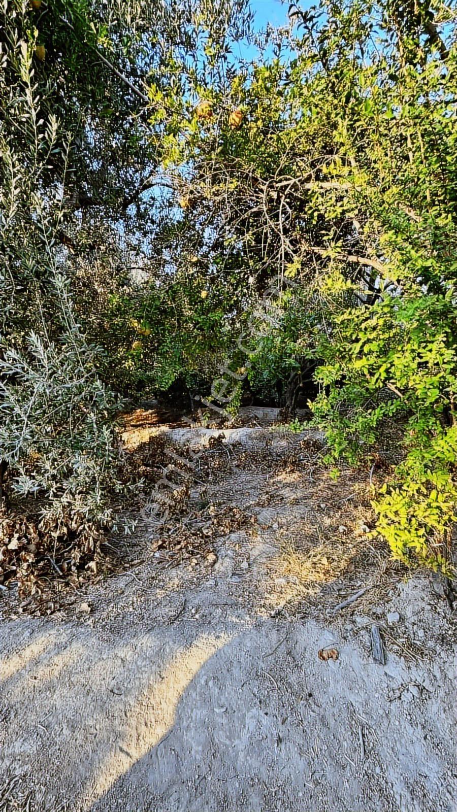 Barabanlı Mahallesi Satılık Müstakil Ev Kayısı Bahçesi - Görsel 21