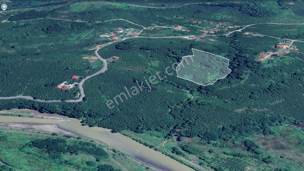 Yg'den Gölevi Mevkii İmara Yakın 11.290 M2 Fındıklık - Görsel 8